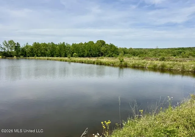 Photo 3 of Land for sale at 00001 County Road 204, Tiplersville, MS 38674 | MLS# 4160815 | Listing updated on 2026-08-29