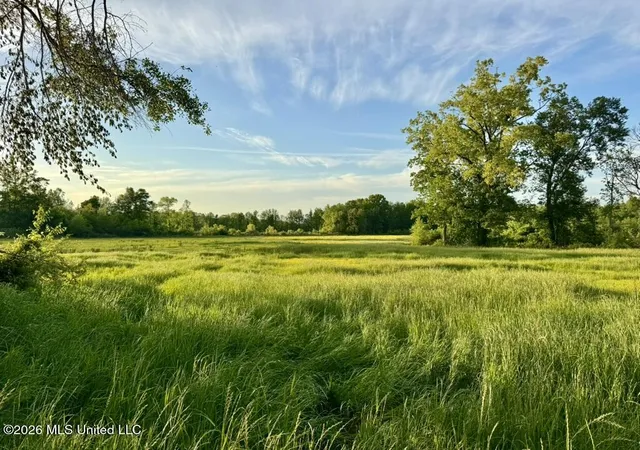 Photo 3 of Land for sale at 00001 County Road 204, Tiplersville, MS 38674 | MLS# 4160815 | Listing updated on 2026-08-29