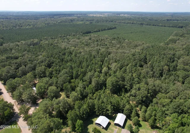 Photo 1 of Land for sale at Holly Bush, Pelahatchie, MS 39145 | MLS# 4160531 | Listing updated on 2026-08-27