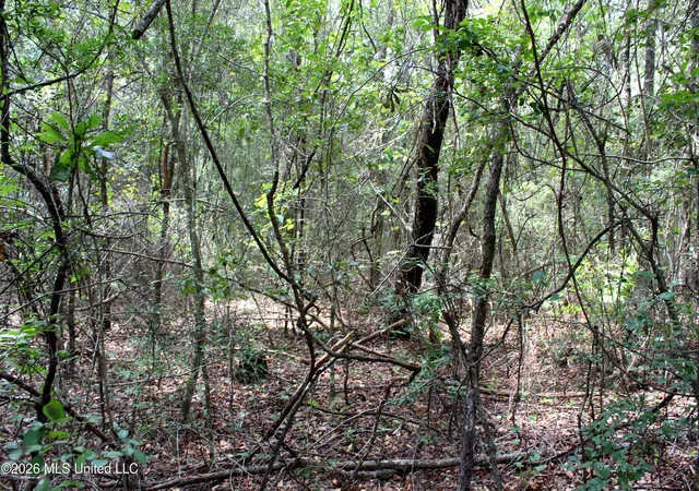 Photo 4 of Sale Pending at Moddie K Rd, Lucedale, MS 39452 | MLS# 4160537 | Listing updated on 2026-09-03