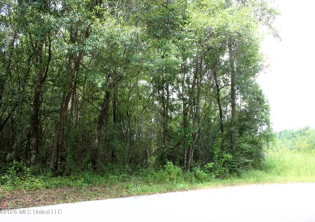 8th image of Moddie K Rd, Lucedale, MS 39452 | MLS# 4160537
