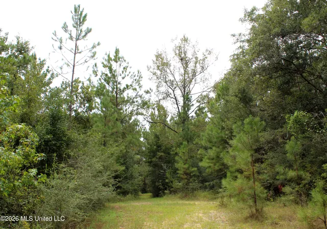 Land for sale at John Kelly Rd, Lucedale, MS 39452 | MLS# 4160543