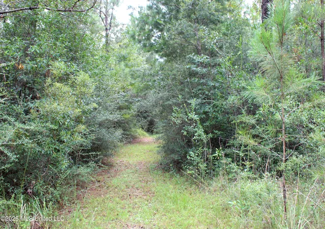 Photo 2 of Land for sale at John Kelly Rd, Lucedale, MS 39452 | MLS# 4160543 | Listing updated on 2026-08-27