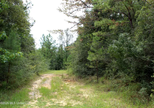 Photo 3 of Land for sale at John Kelly Rd, Lucedale, MS 39452 | MLS# 4160543 | Listing updated on 2026-08-27