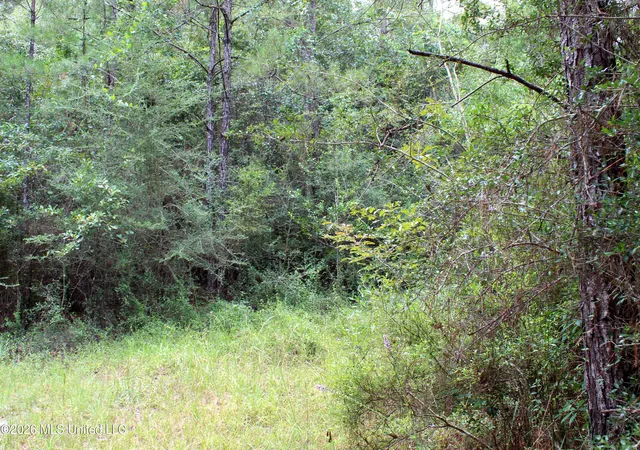 Photo 3 of Land for sale at John Kelly Rd, Lucedale, MS 39452 | MLS# 4160543 | Listing updated on 2026-08-27