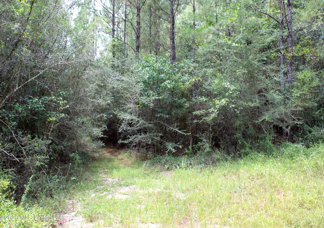 Photo 4 of Land for sale at John Kelly Rd, Lucedale, MS 39452 | MLS# 4160543 | Listing updated on 2026-08-27