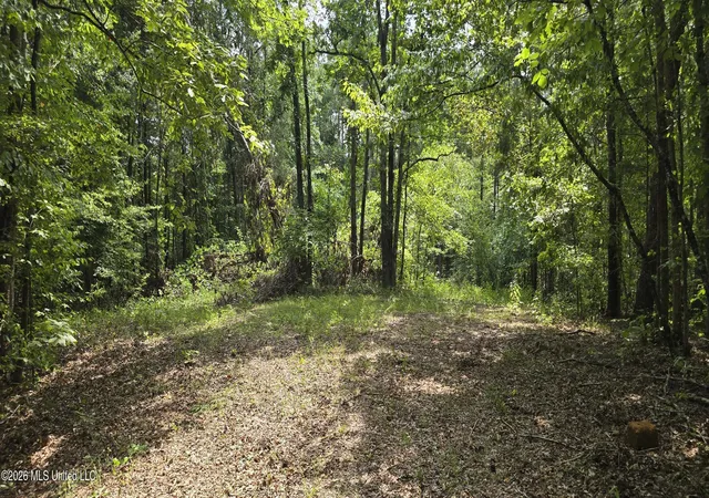Photo 2 of Sale Pending at 4190 Tuscumbia Rd, Blue Springs, MS 38828 | MLS# 4160821 | Listing updated on 2026-09-01