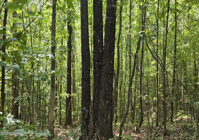 Photo 3 of Sale Pending at 4190 Tuscumbia Rd, Blue Springs, MS 38828 | MLS# 4160821 | Listing updated on 2026-09-01