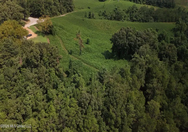 Photo 4 of Sale Pending at 4190 Tuscumbia Rd, Blue Springs, MS 38828 | MLS# 4160821 | Listing updated on 2026-09-01