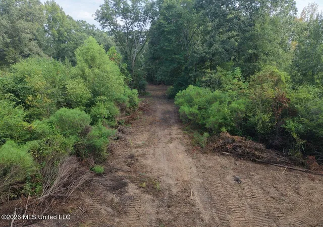 Photo 2 of Land for sale at 1154 Old Hwy 33, Centreville, MS 39631 | MLS# 4160564 | Listing updated on 2026-08-27