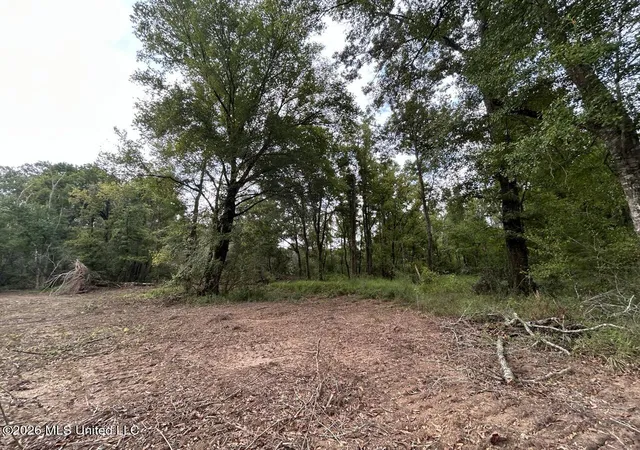 Photo 46 of Land for sale at 1154 Old Hwy 33, Centreville, MS 39631 | MLS# 4160564 | Listing updated on 2026-08-27