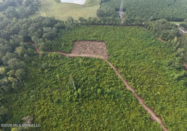 Photo 3 of Land for sale at 1154 Old Hwy 33, Centreville, MS 39631 | MLS# 4160564 | Listing updated on 2026-10-21