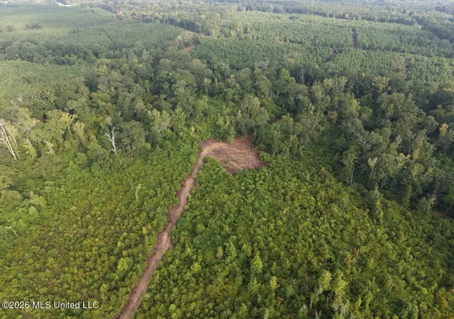 Photo 4 of Land for sale at 1154 Old Hwy 33, Centreville, MS 39631 | MLS# 4160564 | Listing updated on 2026-10-21