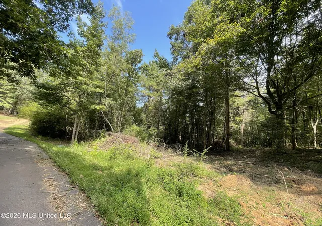 Photo 2 of Land for sale at Roberts Ln, Wesson, MS 39191 | MLS# 4160574 | Listing updated on 2026-08-27