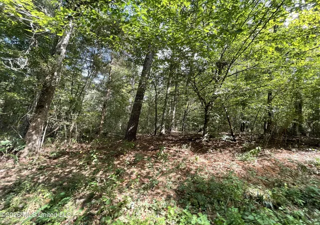 Photo 3 of Land for sale at Roberts Ln, Wesson, MS 39191 | MLS# 4160574 | Listing updated on 2026-10-07