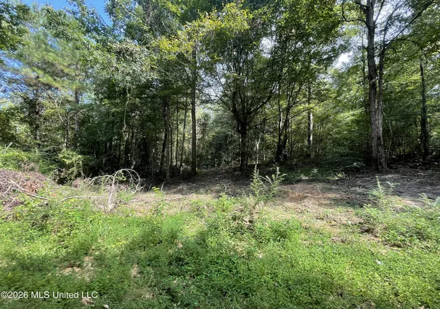 Photo 3 of Land for sale at Roberts Ln, Wesson, MS 39191 | MLS# 4160574 | Listing updated on 2026-10-07