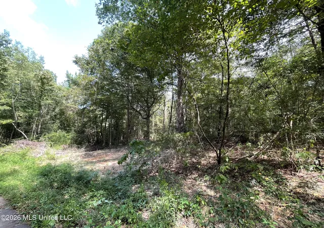 Photo 5 of Land for sale at Roberts Ln, Wesson, MS 39191 | MLS# 4160574 | Listing updated on 2026-08-27