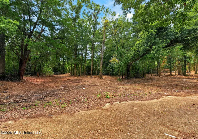 Photo 2 of Land for sale at Bellview Ave, Moss Point, MS 39563 | MLS# 4160602 | Listing updated on 2026-08-27