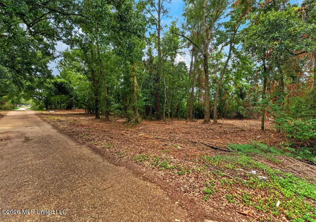 Photo 3 of Land for sale at Bellview Ave, Moss Point, MS 39563 | MLS# 4160602 | Listing updated on 2026-08-27