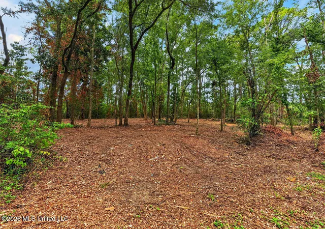 Photo 4 of Land for sale at Bellview Ave, Moss Point, MS 39563 | MLS# 4160602 | Listing updated on 2026-08-27