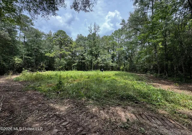 Photo 1 of Sale Pending at Earnest A Thompson, Ruth, MS 39662 | MLS# 4160637 | Listing updated on 2026-09-04