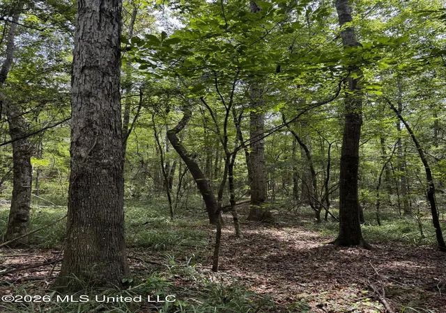 Photo 2 of Sale Pending at Earnest A Thompson, Ruth, MS 39662 | MLS# 4160637 | Listing updated on 2026-09-04
