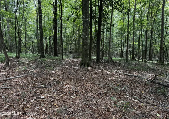 Photo 3 of Sale Pending at Earnest A Thompson, Ruth, MS 39662 | MLS# 4160637 | Listing updated on 2026-09-04