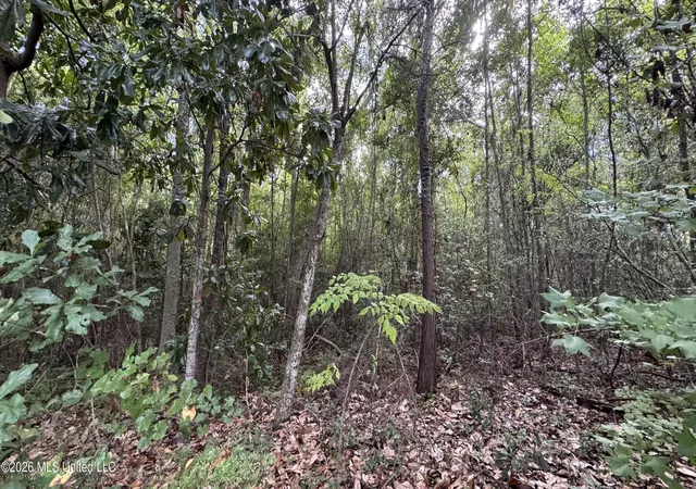 Photo 2 of Land for sale at Oyster Shell (lot 24) Ave, Ocean Springs, MS 39564 | MLS# 4160661 | Listing updated on 2026-08-27