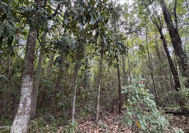 Photo 3 of Land for sale at Oyster Shell (lot 24) Ave, Ocean Springs, MS 39564 | MLS# 4160661 | Listing updated on 2026-08-27
