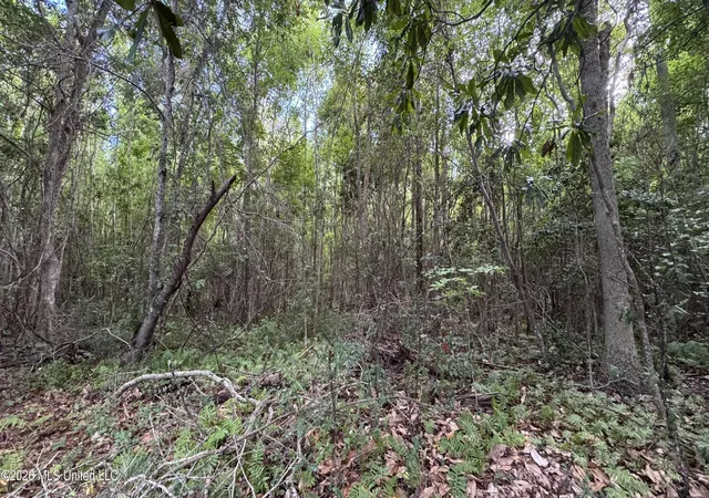Photo 3 of Land for sale at Oyster Shell Ave, Ocean Springs, MS 39564 | MLS# 4160662 | Listing updated on 2026-08-28