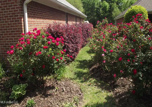 Photo 2 of Single family home for sale at 525 Chelsea Wy, Madison, MS 39110 | MLS# 4160855 | Listing updated on 2026-08-30