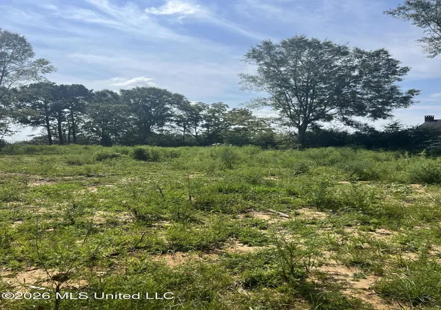 Photo 2 of Land for sale at 18029 Pecan Ct, Saucier, MS 39574 | MLS# 4160694 | Listing updated on 2026-08-29