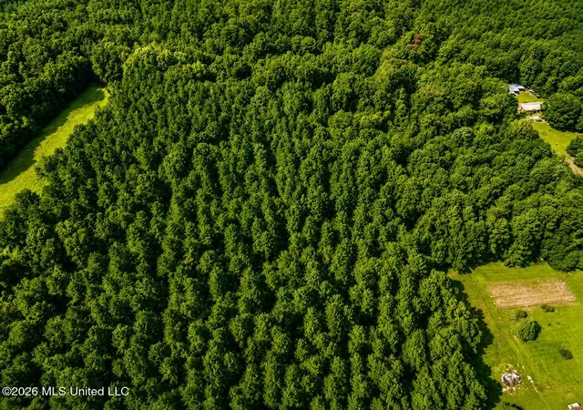 Photo 1 of Land for sale at Saint Paul Rd, Sandy Hook, MS 39478 | MLS# 4160693 | Listing updated on 2026-08-28