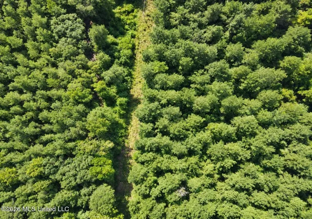 Photo 2 of Land for sale at Saint Paul Rd, Sandy Hook, MS 39478 | MLS# 4160693 | Listing updated on 2026-08-28