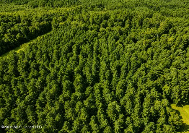 Photo 2 of Land for sale at Saint Paul Rd, Sandy Hook, MS 39478 | MLS# 4160693 | Listing updated on 2026-08-28