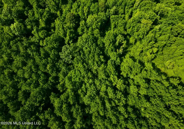 Photo 3 of Land for sale at Saint Paul Rd, Sandy Hook, MS 39478 | MLS# 4160693 | Listing updated on 2026-08-28