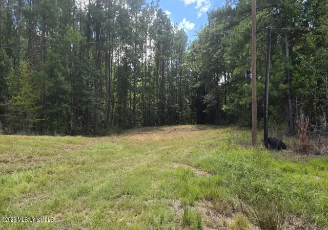 Photo 1 of Land for sale at 00 E Hwy 84 Rd, Roxie, MS 39661 | MLS# 4160698 | Listing updated on 2026-08-28