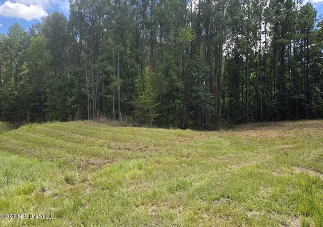 Photo 2 of Land for sale at 00 E Hwy 84 Rd, Roxie, MS 39661 | MLS# 4160698 | Listing updated on 2026-08-28