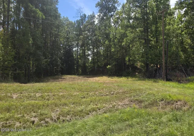 Photo 2 of Land for sale at 00 E Hwy 84 Rd, Roxie, MS 39661 | MLS# 4160698 | Listing updated on 2026-08-28