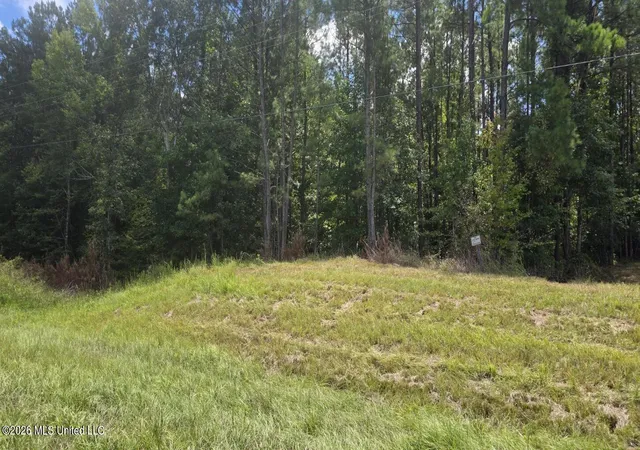 Photo 3 of Land for sale at 00 E Hwy 84 Rd, Roxie, MS 39661 | MLS# 4160698 | Listing updated on 2026-08-28