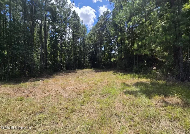 Photo 4 of Land for sale at 00 E Hwy 84 Rd, Roxie, MS 39661 | MLS# 4160698 | Listing updated on 2026-08-28