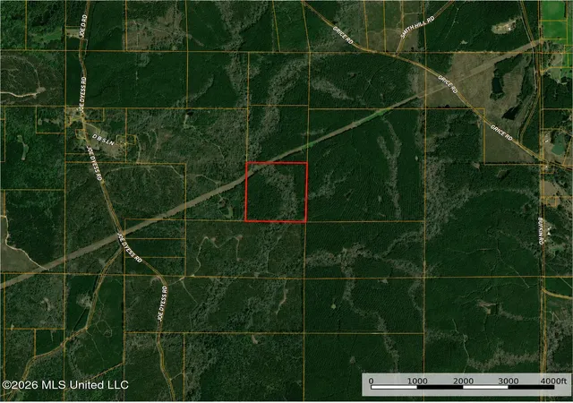 Photo 1 of Sale Pending at 0000 N Joe Dyess Rd, Carson, MS 39427 | MLS# 4160701 | Listing updated on 2026-09-14