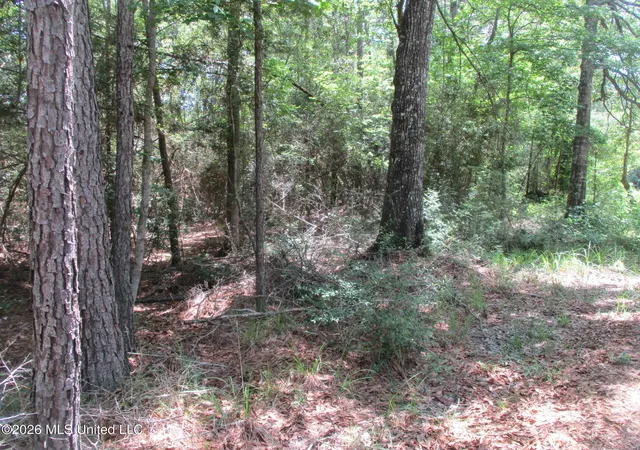 Photo 2 of Sale Pending at 0000 N Joe Dyess Rd, Carson, MS 39427 | MLS# 4160701 | Listing updated on 2026-09-14