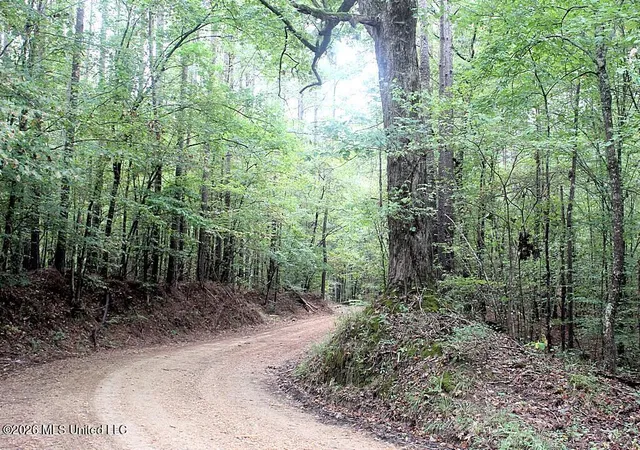 Photo 1 of Land for sale at John Chambers Rd, Roxie, MS 39661 | MLS# 4160708 | Listing updated on 2026-08-28