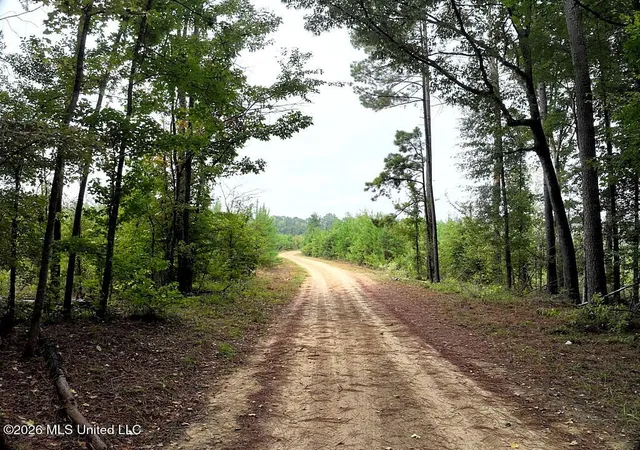 Photo 2 of Land for sale at John Chambers Rd, Roxie, MS 39661 | MLS# 4160708 | Listing updated on 2026-08-28