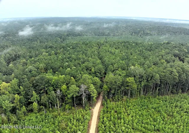 Photo 2 of Land for sale at John Chambers Rd, Roxie, MS 39661 | MLS# 4160708 | Listing updated on 2026-08-28
