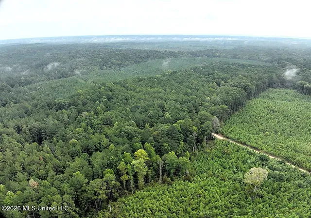 Photo 3 of Land for sale at John Chambers Rd, Roxie, MS 39661 | MLS# 4160708 | Listing updated on 2026-08-28