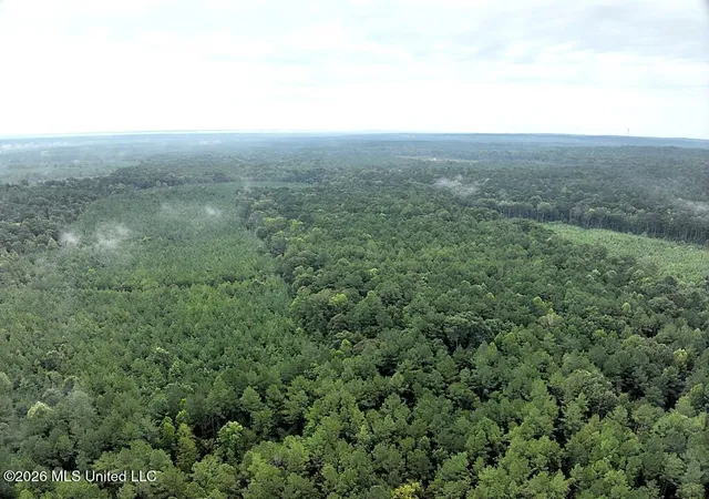 Photo 4 of Land for sale at John Chambers Rd, Roxie, MS 39661 | MLS# 4160708 | Listing updated on 2026-08-28