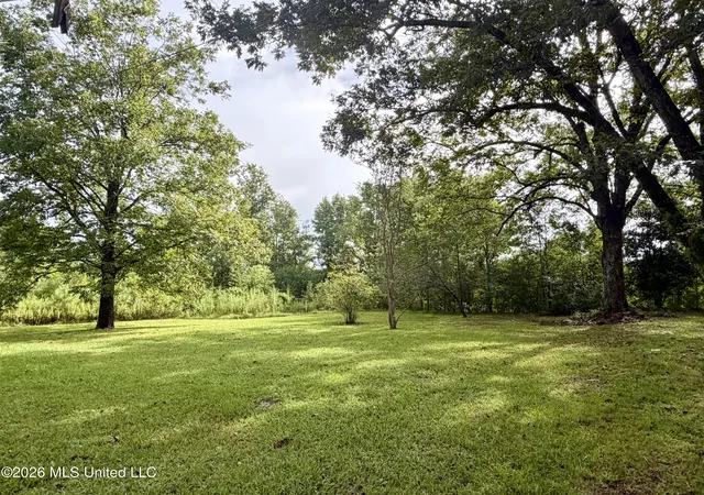 Photo 4 of Single family home for sale at 9145 Bogue Chitto Rd, Mc Call Creek, MS 39647 | MLS# 4160719 | Listing updated on 2026-08-28