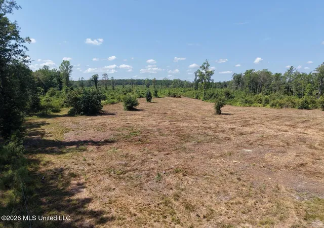 Land for sale at 3 Dewitt Ln, Bogalusa, LA 70427 | MLS# 4160724